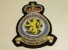 RAF Station Upwood blazer badge