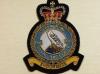 120 Squadron RAF QC blazer badge