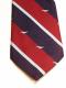 Royal Air Force (Albatross Motif) polyester crested tie Bes
