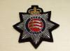 Essex Police blazer badge