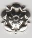 Silvered Rosette for South Atlantic medal full size medal emblem