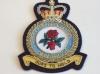 RAF Station Aldergrove blazer badge