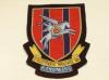 9th Independent (Para) Squadron Royal Engineers blazer badge