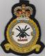 273 Squadron RAF Association (New pattern) blazer badge