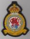 614 Co. of Glamorgan Aux Squadron King's Crown blazer badge