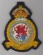 614 Co. of Glamorgan Aux Squadron King's Crown blazer badge
