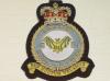 9 squadron QC RAFblazer badge