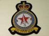 81 Squadron RAF QC blazer badge