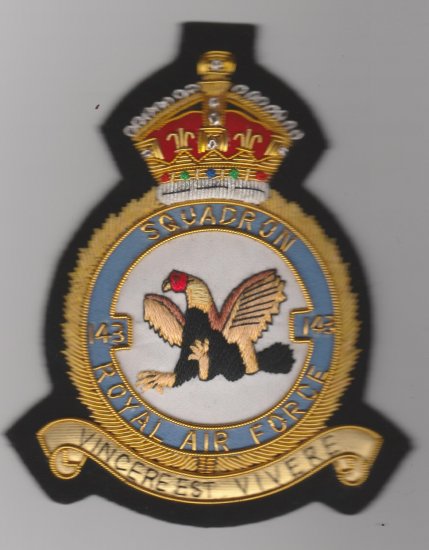 143 Squadron RAF King's Crown wire blazer badger - Click Image to Close