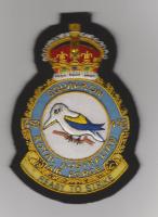 453 Squadron RAAF KC blazer badge