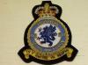 210 Squadron QC wire blazer badge