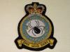 58 Squadron RAF Regiment blazer badge