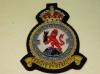 102 squadron RAF KC blazer badge