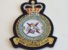 7006 (intelligence) Royal Auxiliary Air Force blazer badge