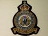 19 Sqdn KC RAF blazer badge