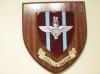 Parachute Regiment hand painted wooden wall shield