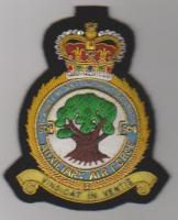 504 Sqdn County of Nottingham QC RAF Aux blazer badge
