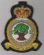 504 Sqdn County of Nottingham QC RAF Aux blazer badge