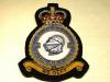 264 Squadron RAF Queen's Crown blazer badge
