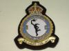156 Squadron RAF KC blazer badge