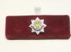 Royal Anglian Regiment lapel pin