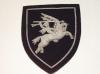 Airborne blazer badge