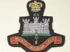 Northants regt crest blazer badge