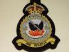 198 Sqdn KC Blazer Badge