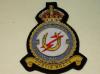 149 Squadron RAF KC blazer badge