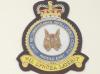 JRIC Middle East blazer badge