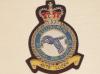 38 Sqdn QC RAF blazer badge