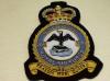 204 Squadron RAF Queen's Crown blazer badge