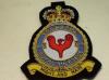 209 Sqdn RAF QC badge