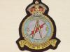 116 Sqdn RAF KC blazer badge