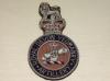 Royal Devon Yeomanry blazer badge