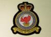 2nd RAF Tactical Air Force QC blazer badge