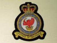 2nd RAF Tactical Air Force QC blazer badge