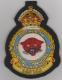 438 RCAF Squadron blazer badge