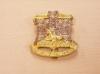 Devon and Dorset Regiment cap badge