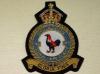 43 squadron KC RAF blazer badge
