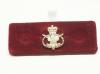 Staffordshire regiment lapel pin