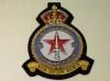 81 Squadron RAF KC blazer badge