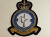 37 Squadron RAF Regt blazer badge