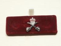 Army Physical Training Corps lapel badge