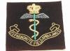 23 Parachute Field Ambulance RAMC blazer badge