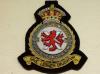 602 City of Glasgow Sqdn Royal Aux A Force KC wire blazer badge