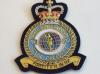 42 Torpedo Bomber Squadron QC RAF blazer badge