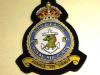 256 Squadron RAF KC wire blazer badge