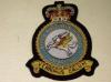 RAF Duxford station blazer badge