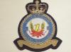 56 Squadron QC RAF blazer badge
